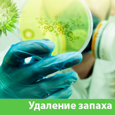 Удаление запахов в Кирове